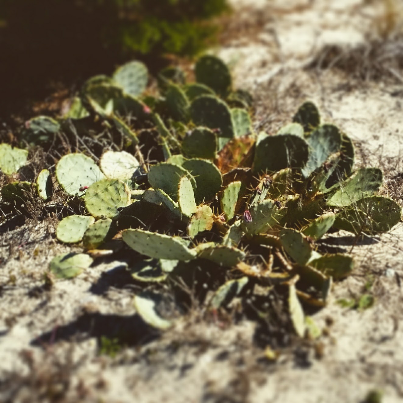 7A3363EC-577B-4C6E-AC23-1411B3772DE8